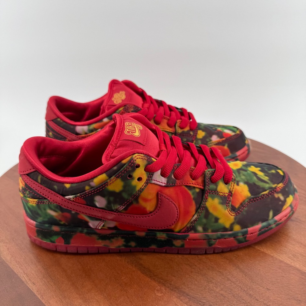 Nike SB Dunk Low Pro Wizard of Oz Poppy Field Red Multi FZ1291 600 Mens 9.5